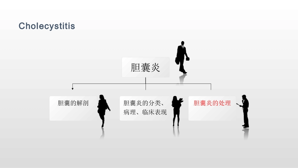 胆囊炎 规培讲课_第2页