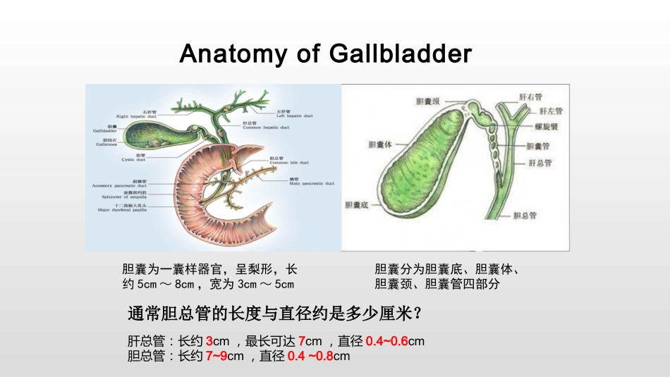 胆囊炎 规培讲课_第3页