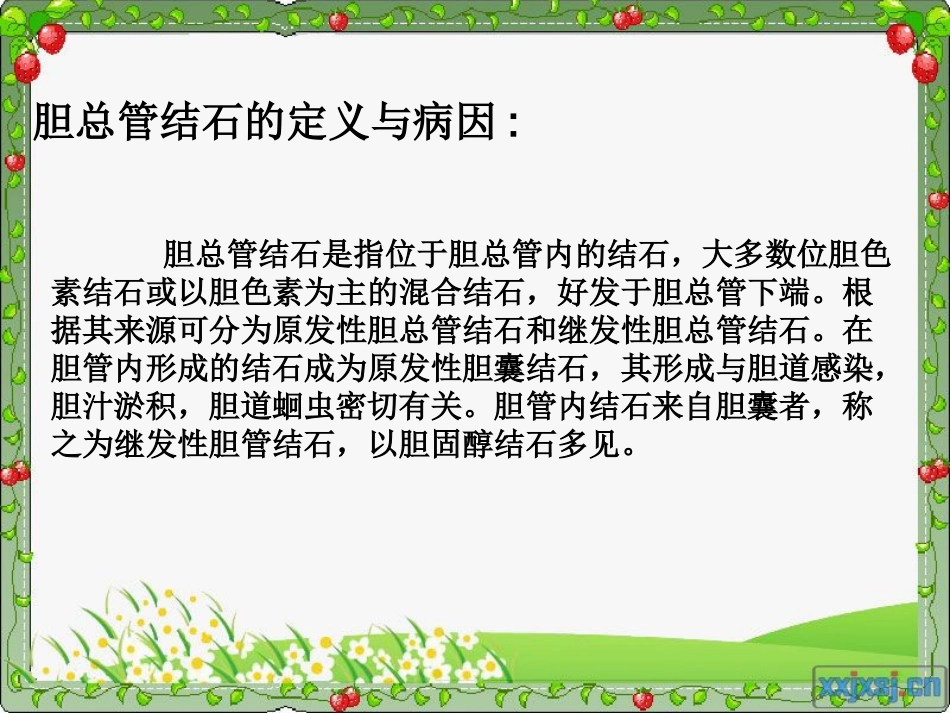 胆总管结石_第3页