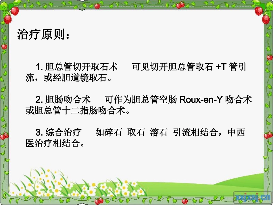 胆总管结石_第6页