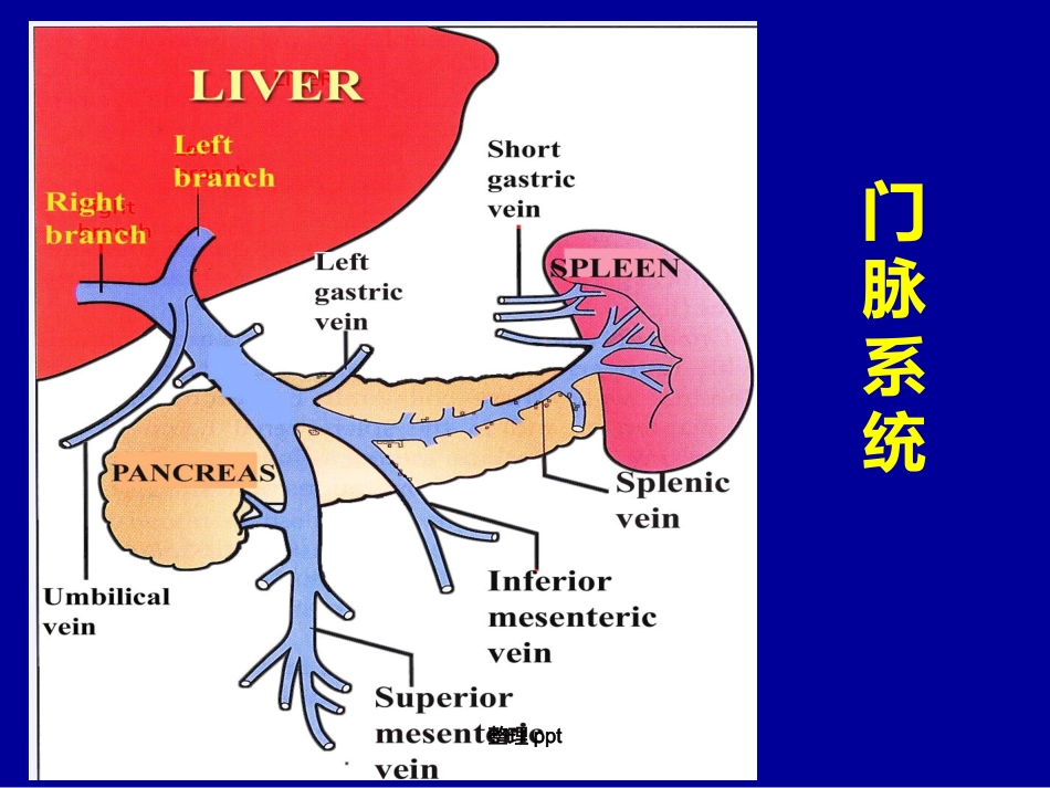 非肝硬化性门脉高压的诊断要点_第3页