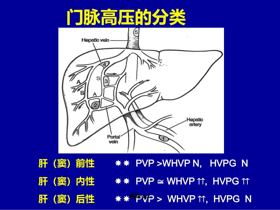 非肝硬化性门脉高压的诊断要点_第5页