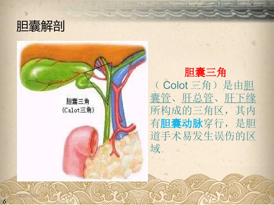 腹腔镜下胆囊切除ppt课件_第6页
