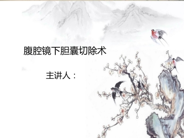 腹腔镜下胆囊切除ppt课件