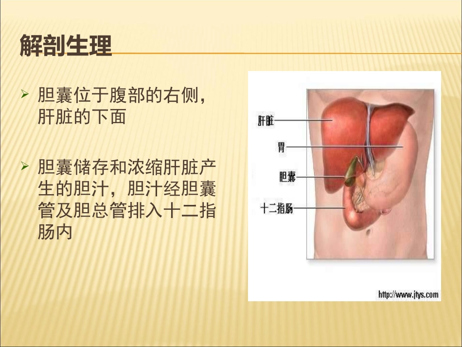 胆囊结石合并胆囊炎教学查房_第10页