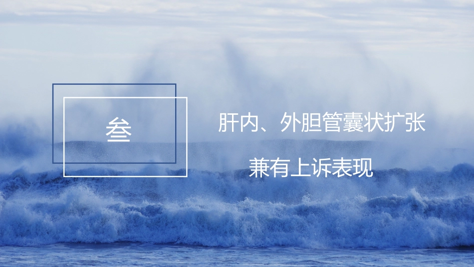 胆系先天性疾病_第15页