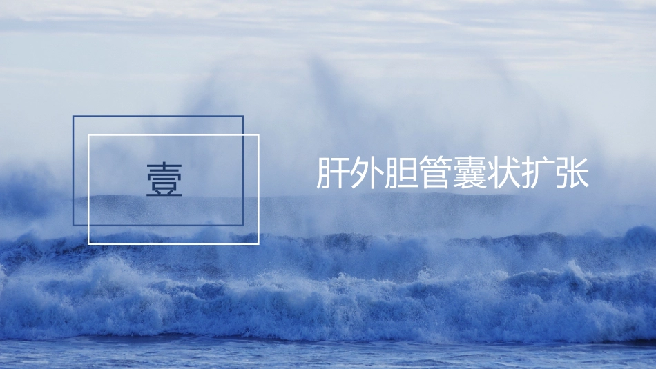 胆系先天性疾病_第4页