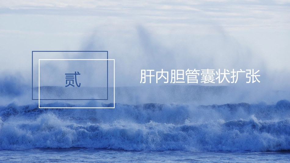 胆系先天性疾病_第9页