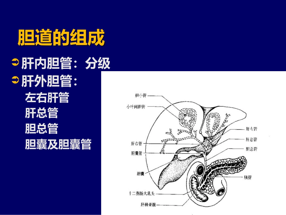 胆囊疾病PPT_第2页