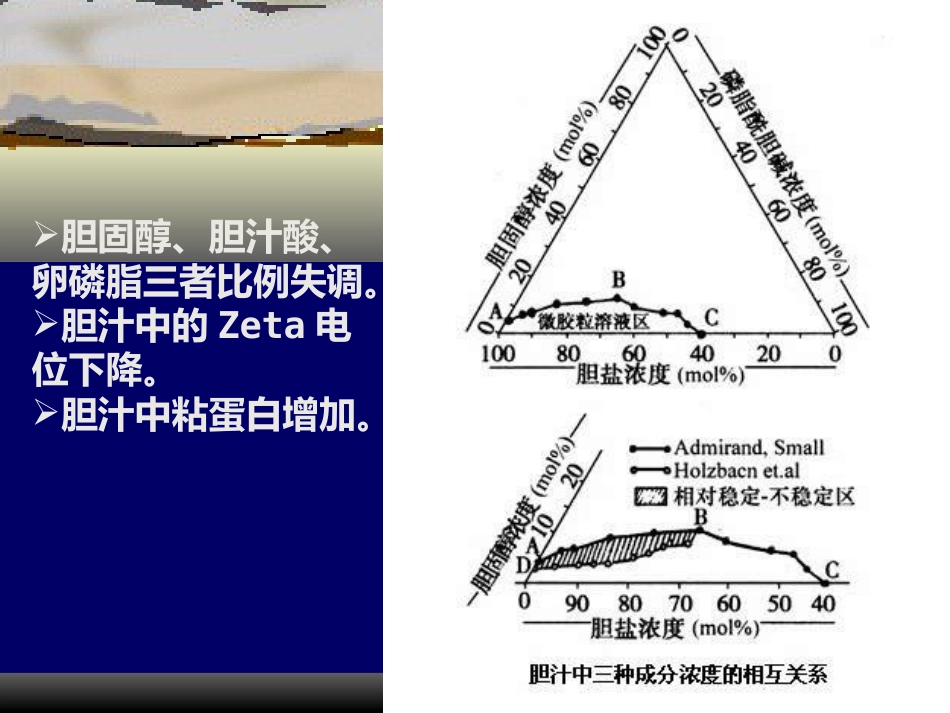 胆囊疾病PPT_第5页
