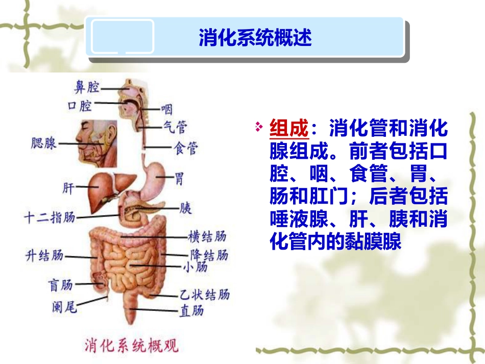 概述消化系统疾病护理_第2页