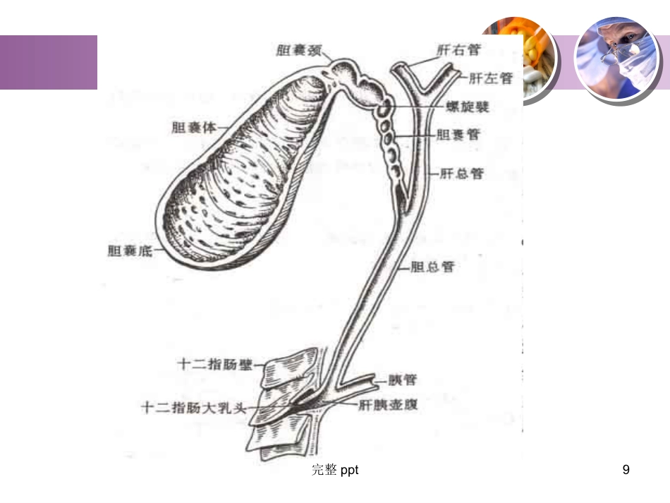 胆囊结石的教学查房_第9页
