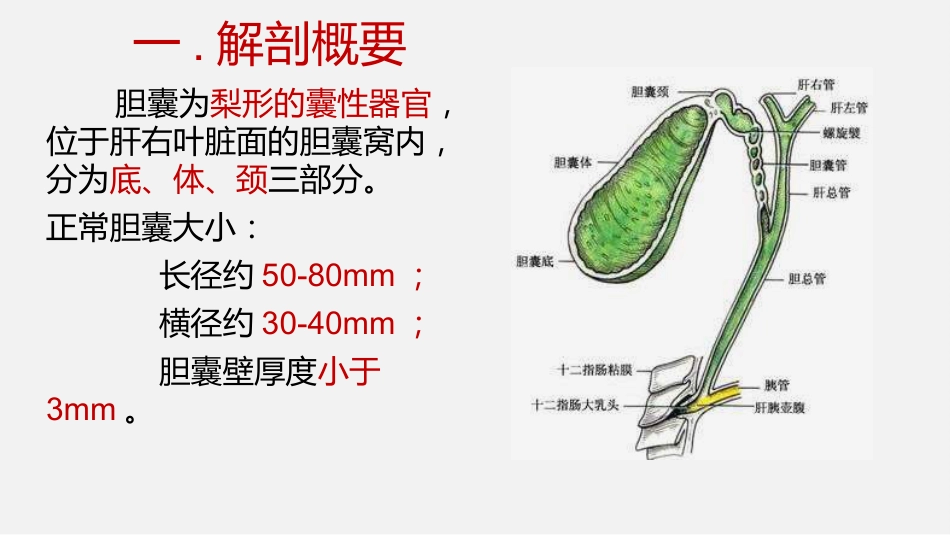 胆囊结石及胆囊炎超声诊断_第4页