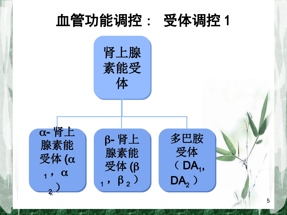 围术期常用的血管活性药物课件_第5页
