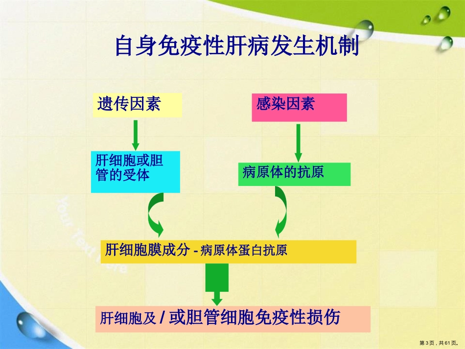 常见非病毒学肝病的诊断与鉴别诊断讲课_第3页