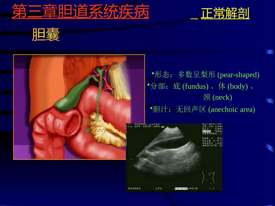 胆系疾病超声诊断(GY)_第3页