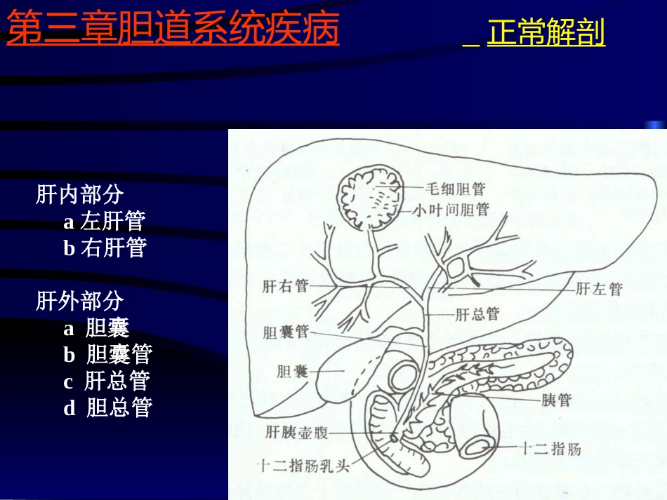 胆系疾病超声诊断(GY)_第4页