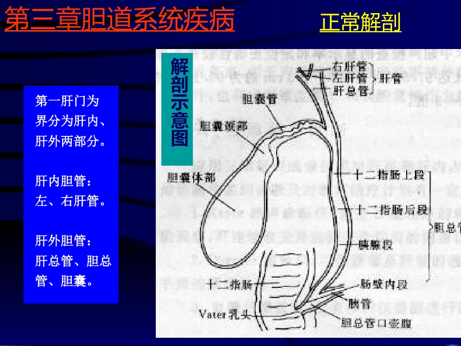 胆系疾病超声诊断(GY)_第5页
