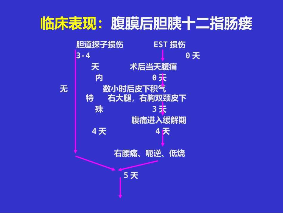 胆胰十二指肠汇合部穿孔的处理_第10页