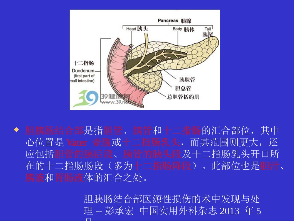 胆胰十二指肠汇合部穿孔的处理_第2页