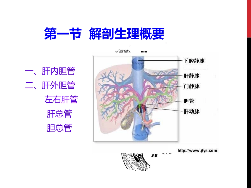 胆囊结石胆囊炎_第2页