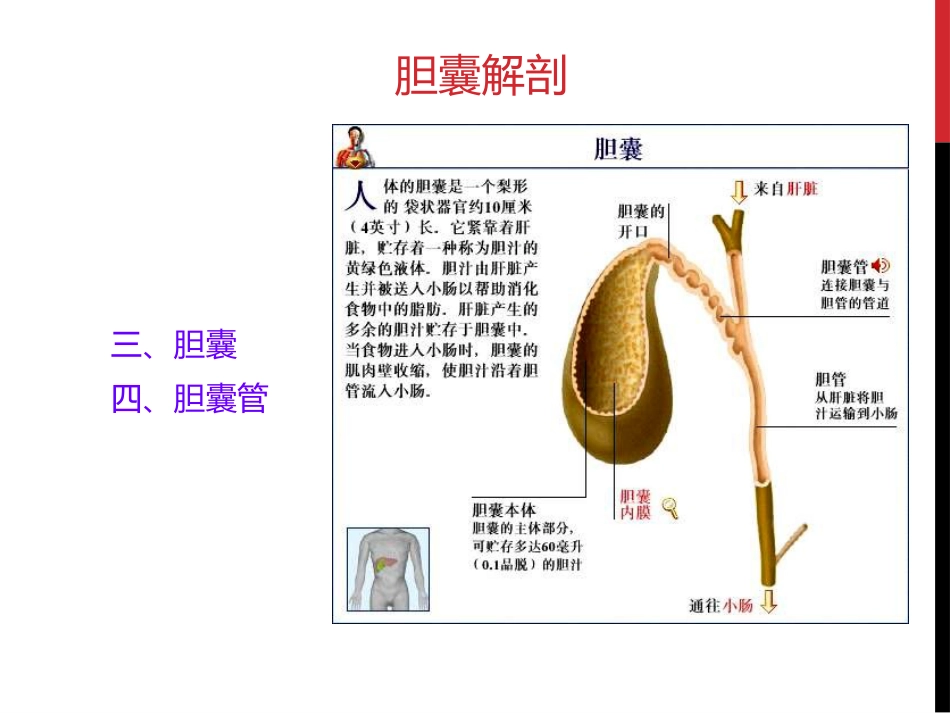胆囊结石胆囊炎_第3页