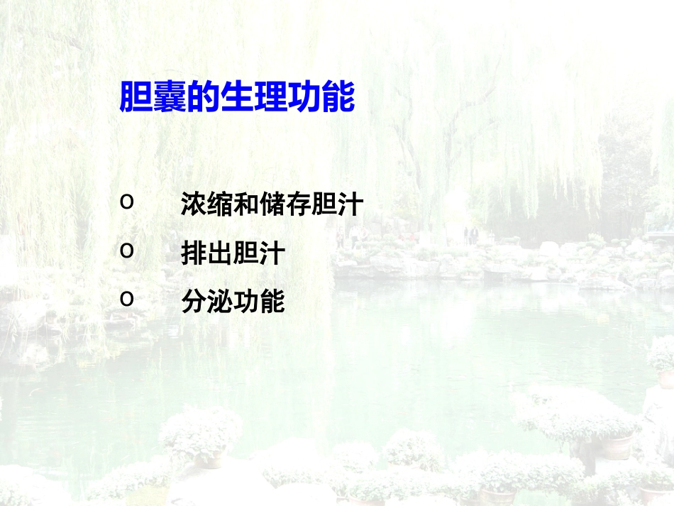 胆囊结石胆囊炎_第4页