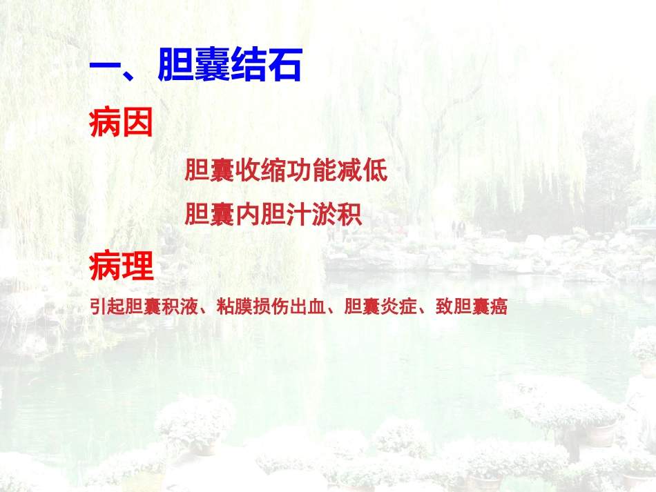 胆囊结石胆囊炎_第9页