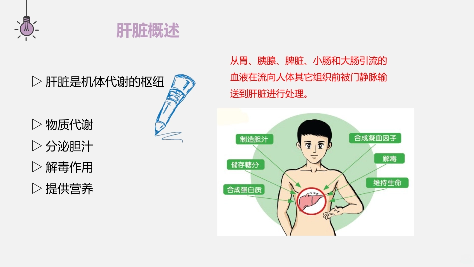 常见肝病诊治PPT课件_第5页