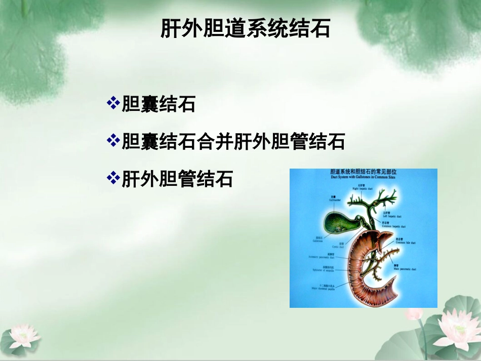 胆囊结石并发肝外胆管结石微创治疗规范解读成都_第2页