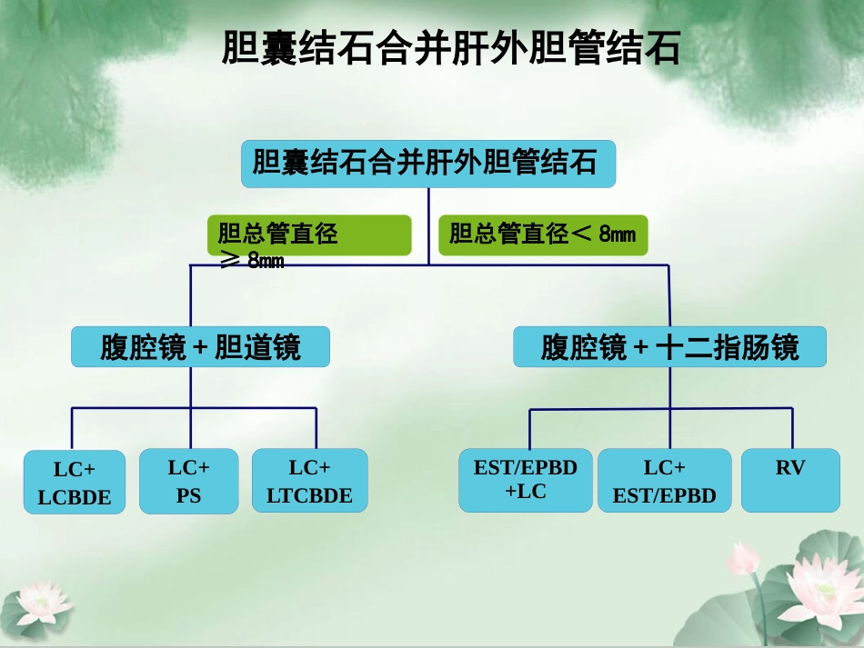 胆囊结石并发肝外胆管结石微创治疗规范解读成都_第7页