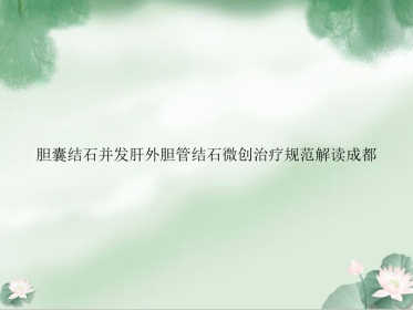 胆囊结石并发肝外胆管结石微创治疗规范解读成都
