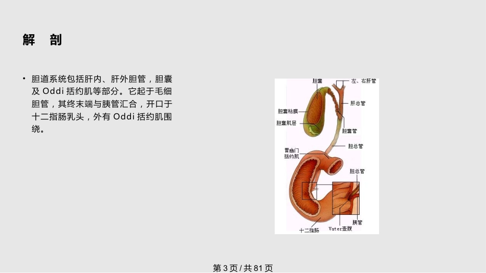 胆囊良性疾病的诊治PPT课件_第3页