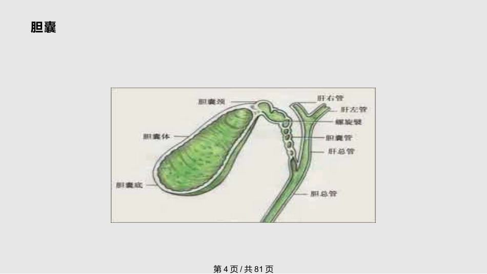 胆囊良性疾病的诊治PPT课件_第4页