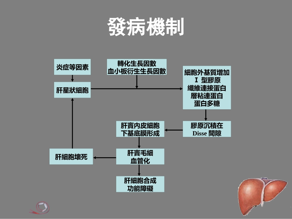 【内科学】肝硬化_第11页