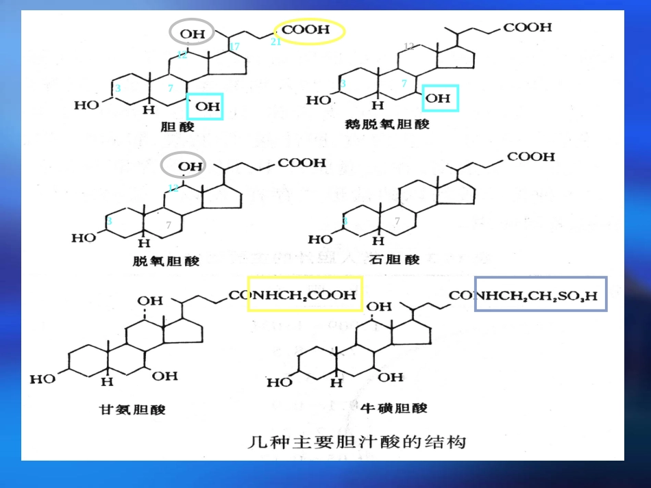 胆汁酸代谢及其异常_第10页