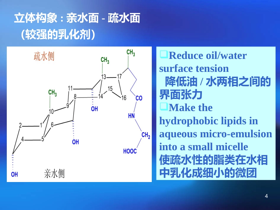胆汁酸代谢及其异常_第4页