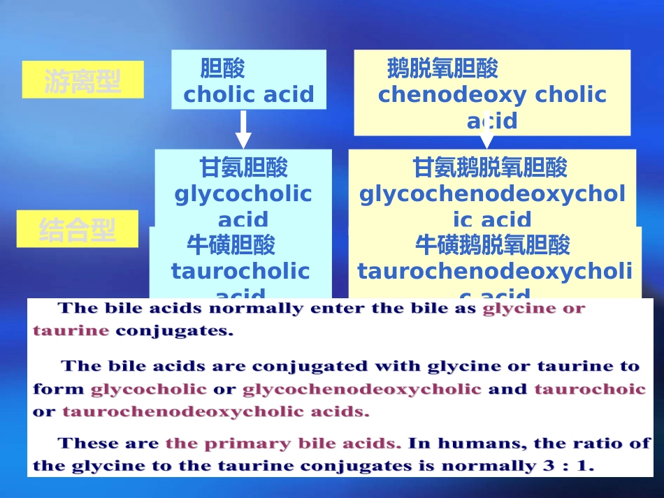 胆汁酸代谢及其异常_第6页