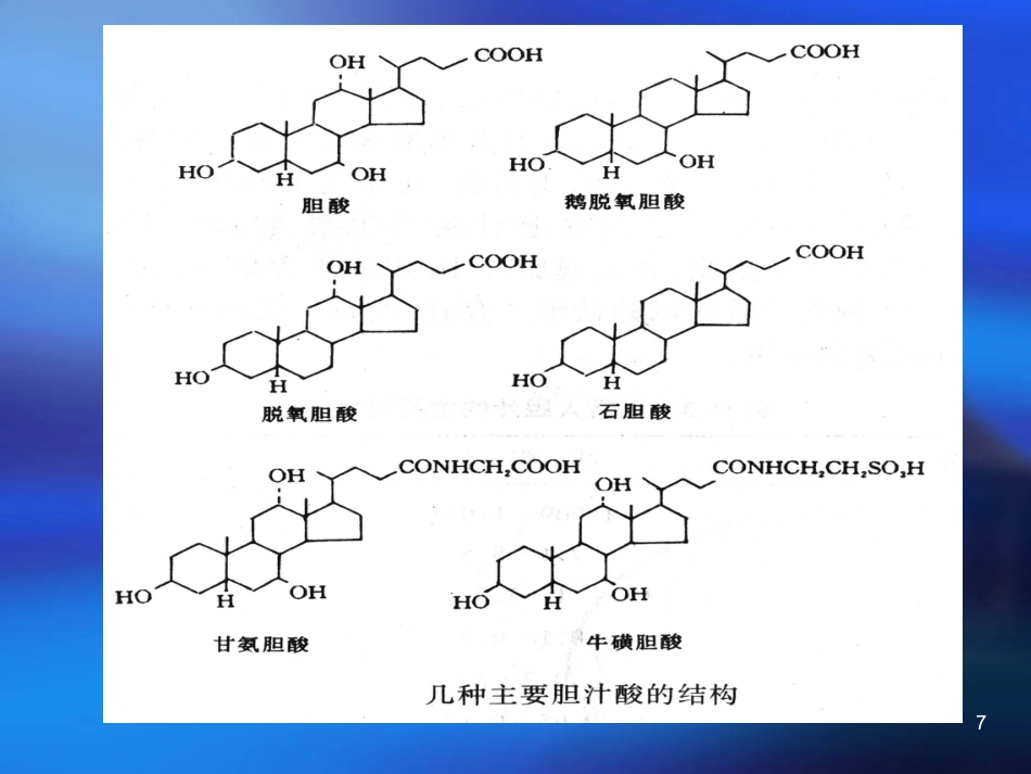 胆汁酸代谢及其异常_第7页