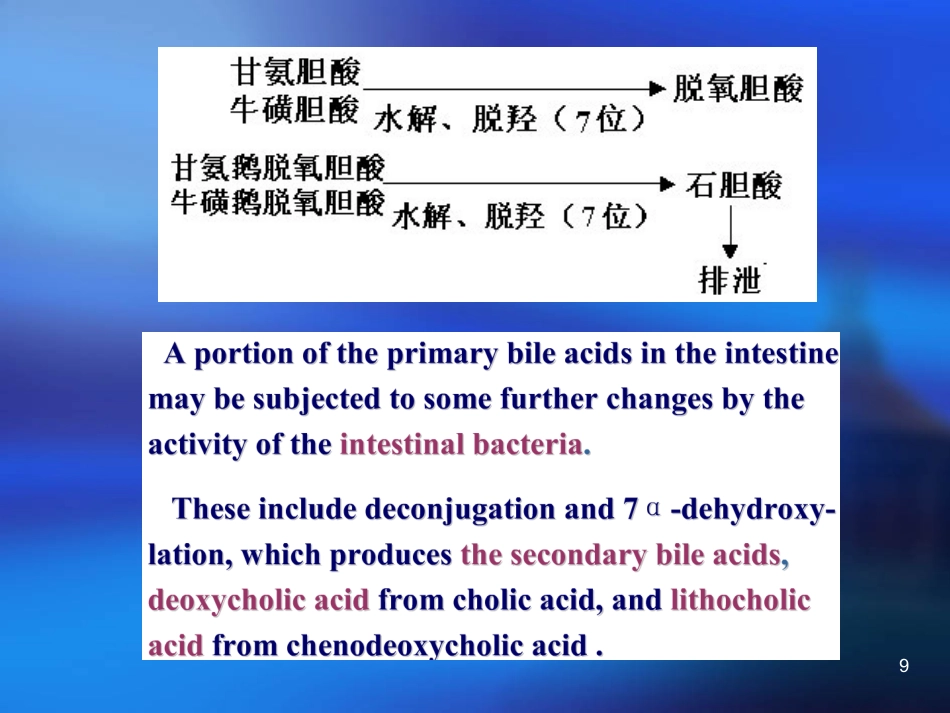胆汁酸代谢及其异常_第9页