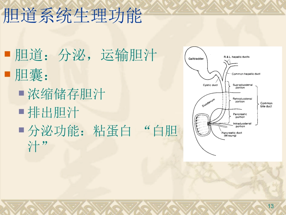 胆道疾病PPT课件_第13页