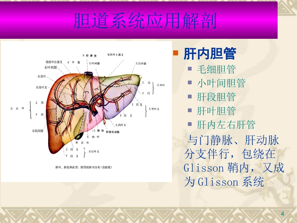 胆道疾病PPT课件_第4页