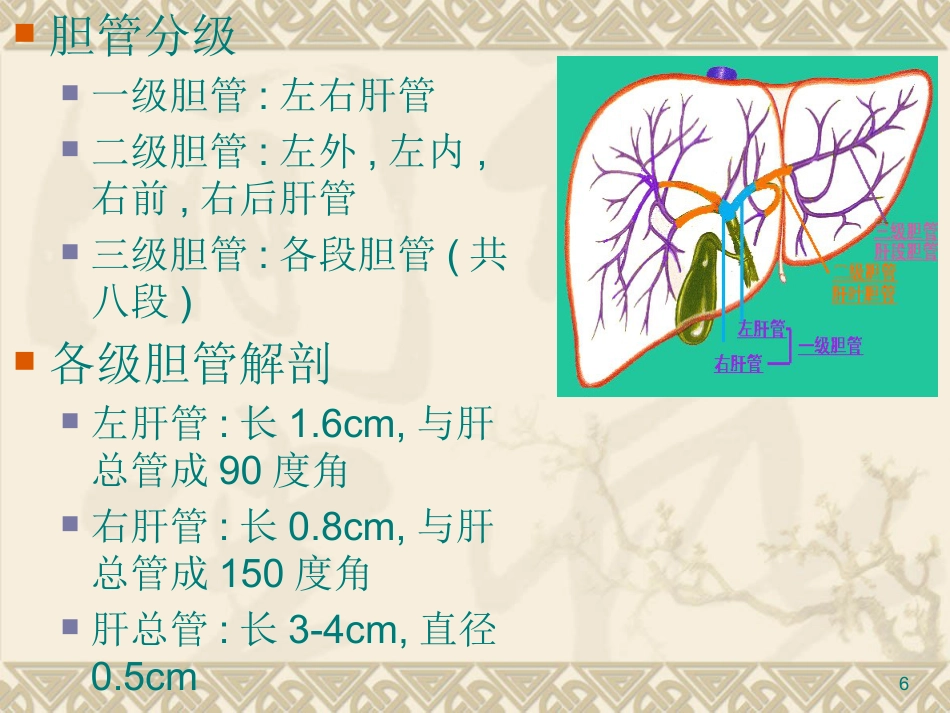 胆道疾病PPT课件_第6页