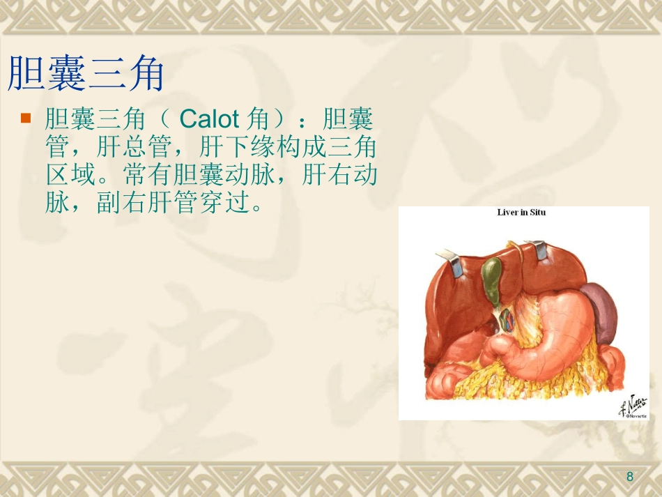 胆道疾病PPT课件_第8页