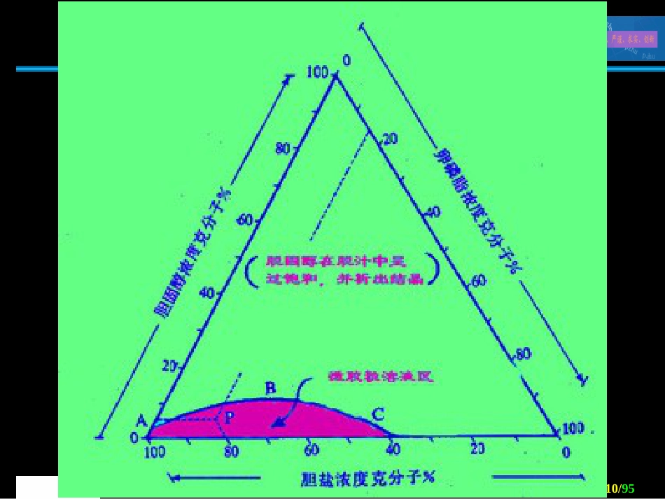 胆道外科 ppt课件_第10页