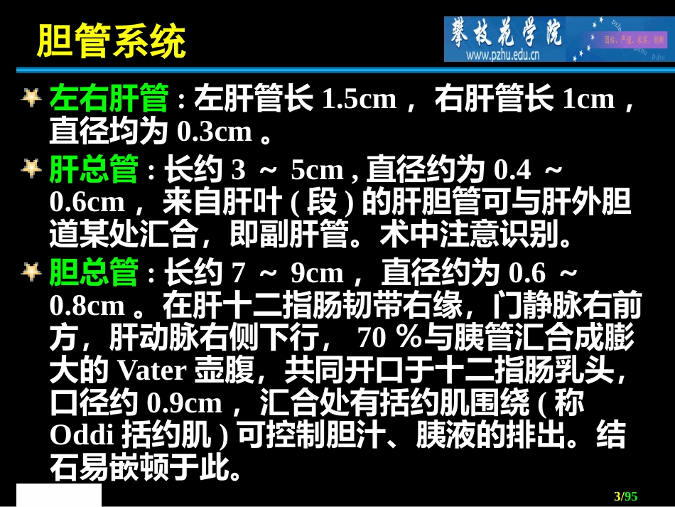 胆道外科 ppt课件_第3页