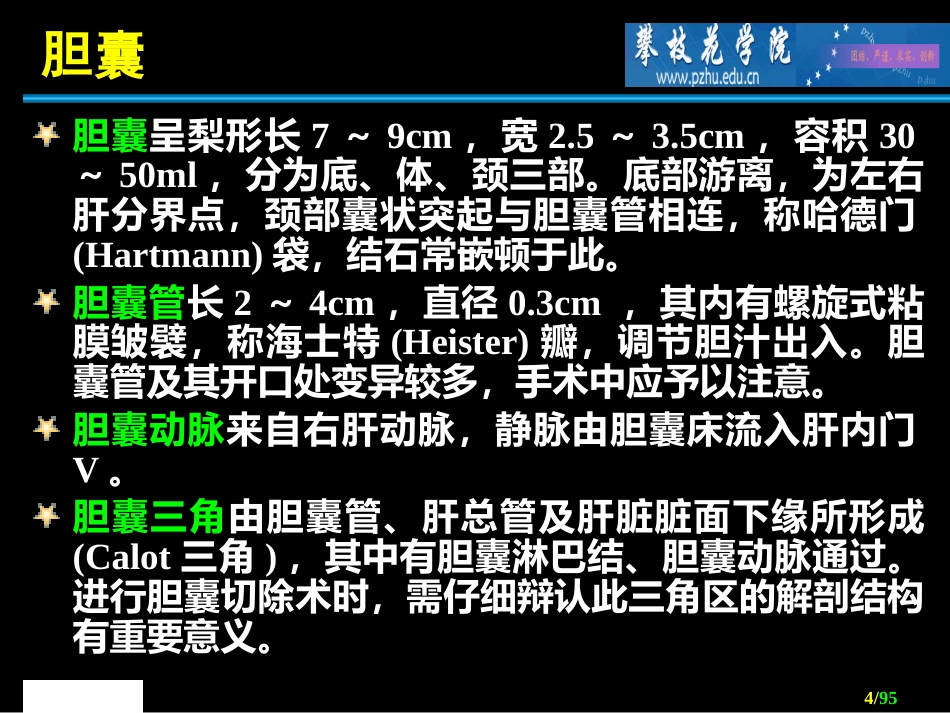 胆道外科 ppt课件_第4页
