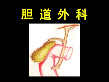 胆道外科 ppt课件