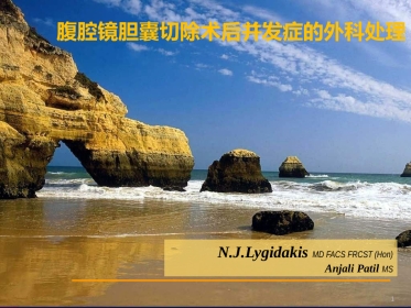 腹腔镜胆囊切除术后并发症的外科处理ppt课件