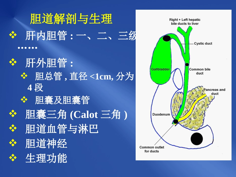 胆道疾病_第2页